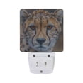 thumbnail image 2 of Elegant Leopard Night Light 2 Pack LED Nightlight Plug into Wall Dusk to Dawn Sensor Soft White, 2 of 7