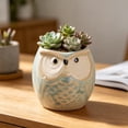thumbnail image 6 of Cute Owl Ceramic Planter 2.6 Inch, Small Succulent Cactus Flower Pot for Indoor Outdoor Home Office Decor, Animal Style Tabletop Garden Decor Pot Gift, 6 of 6