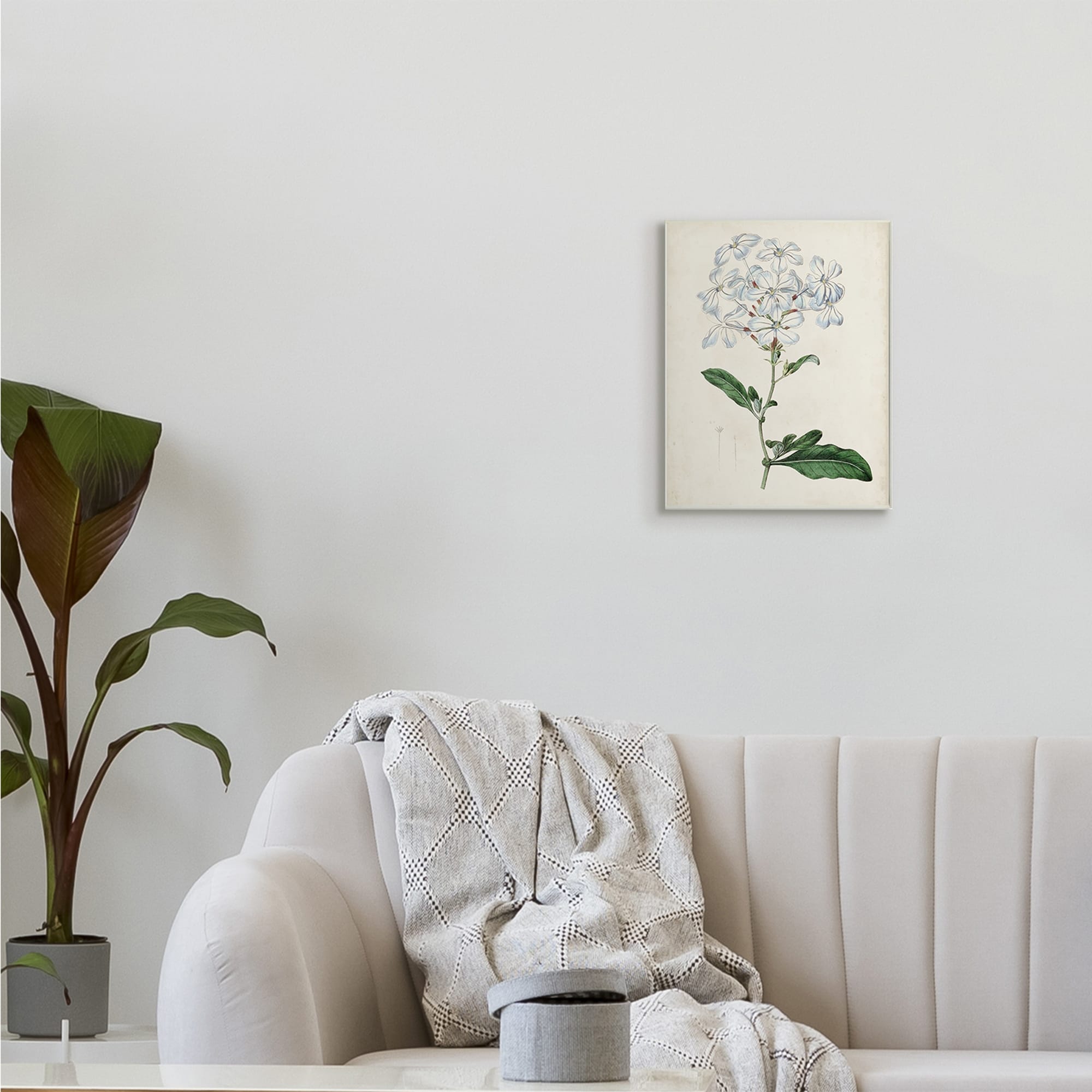 Rustic Garden Floral Study Charming White Blossoms 10 in x 15 in Framed Painting Art Print, by Stupell Home Décor