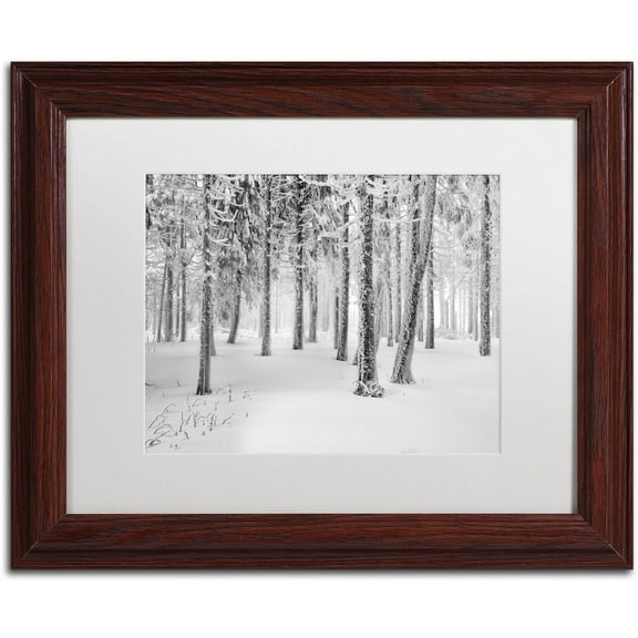 Trademark Fine Art "Frozen World" Canvas Art by Philippe Sainte-Laudy, White Matte, Wood Frame