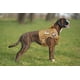 thumbnail image 5 of Chaleco tipo arnés para perros, diseño táctico militar, para perros grandes, 5 of 6