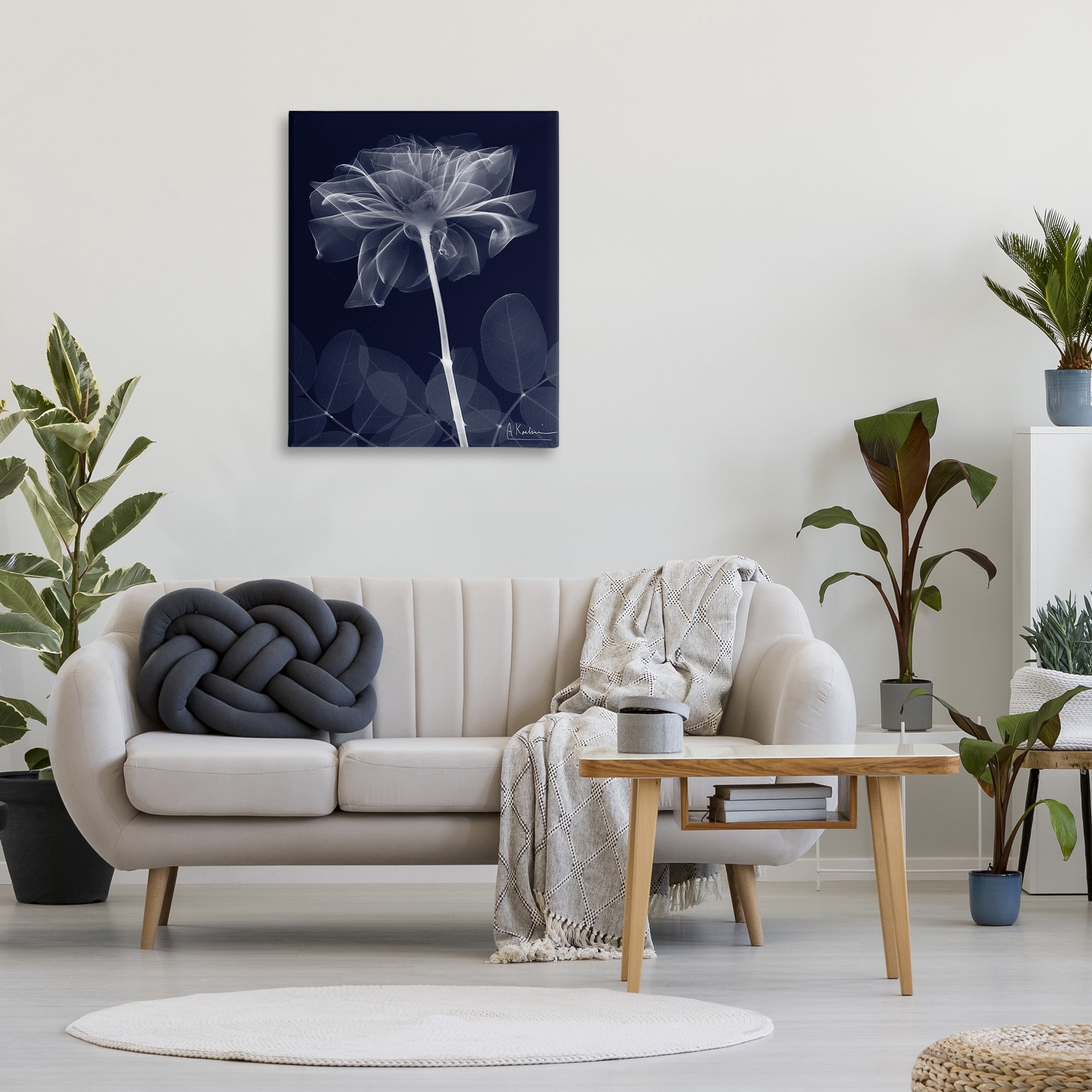 Stupell Industries Dark Flower Shape Botanical & Floral Photography Gallery Wrapped Canvas Art Print Wall Art, 30 x 40