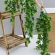 thumbnail image 2 of Plantas artificiales Cateissary 2 piezas/juego 80 cm de largo Decoración verde para hogar y tienda, 2 of 6
