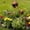 A, variant on Metal Carnivorous Plant Garden Stake,Carnivorous Plant Garden Stake,Venus Fly Trap Garden Stakes,for Lawn Garden Patio Gothic Yard Decoration (B)