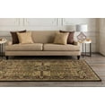 thumbnail image 5 of Boutique Rugs Raco Throw Pillow, 5 of 8