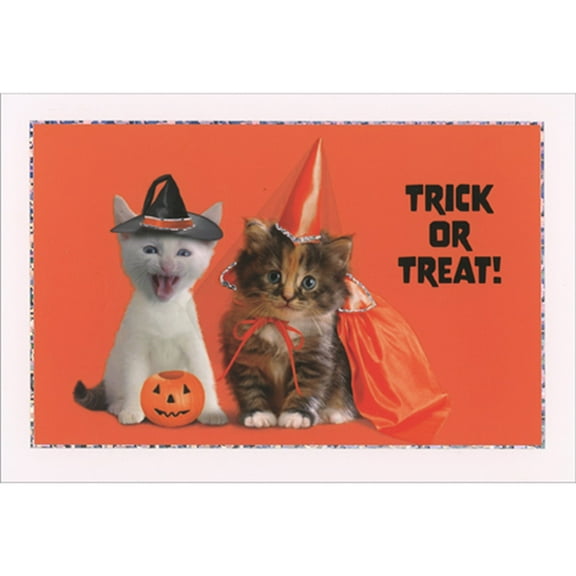 Pictura Cute Kittens Wearing Witches Hat and Orange Princess Hat Halloween Card