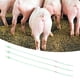 thumbnail image 3 of Catéter de inseminación artificial, 5 piezas/juego, desechable, para animales, cerdos, tubos de inseminación artificial, tubo de inseminación, eficiencia óptima, 3 of 12