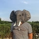 thumbnail image 1 of Máscara de elefante de Halloween Máscara de animal ANGGREK Otros, 1 of 5