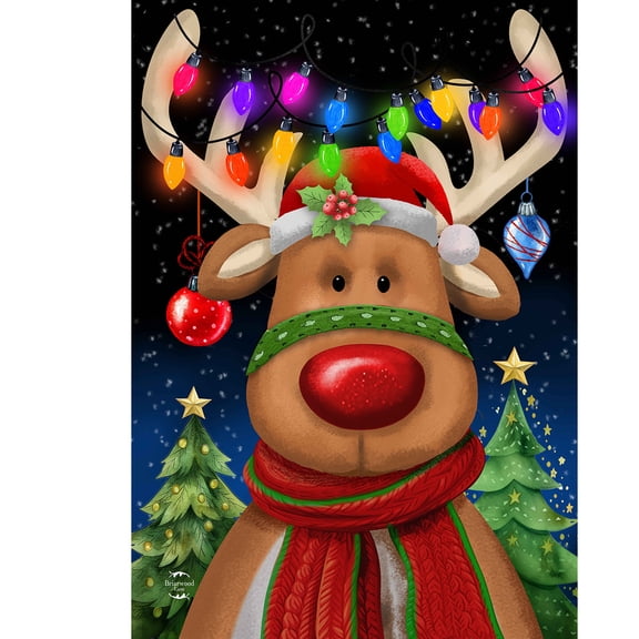 Briarwood Lane Christmas House Flag 40x28 For Outdoor Festive Reindeer For Christmas House Flag