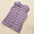thumbnail image 6 of Xdegoge Quilted Vest Women Plus Size Sleeveless Jackets Button Crewnceck Lightweight Jacket Fashion Fall Winter Short Padded Outerwear with Pockets, 6 of 10
