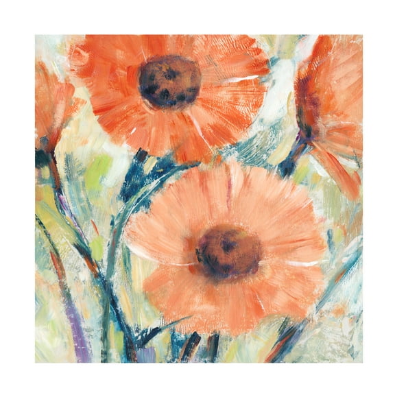 Tim O Toole 'Flowers in Bloom II' Canvas Art