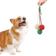 thumbnail image 4 of Hanging Cat Rope Toy Interactive Chew Sisal Scratch Pad for Indoor Play and Exercise, 4 of 4