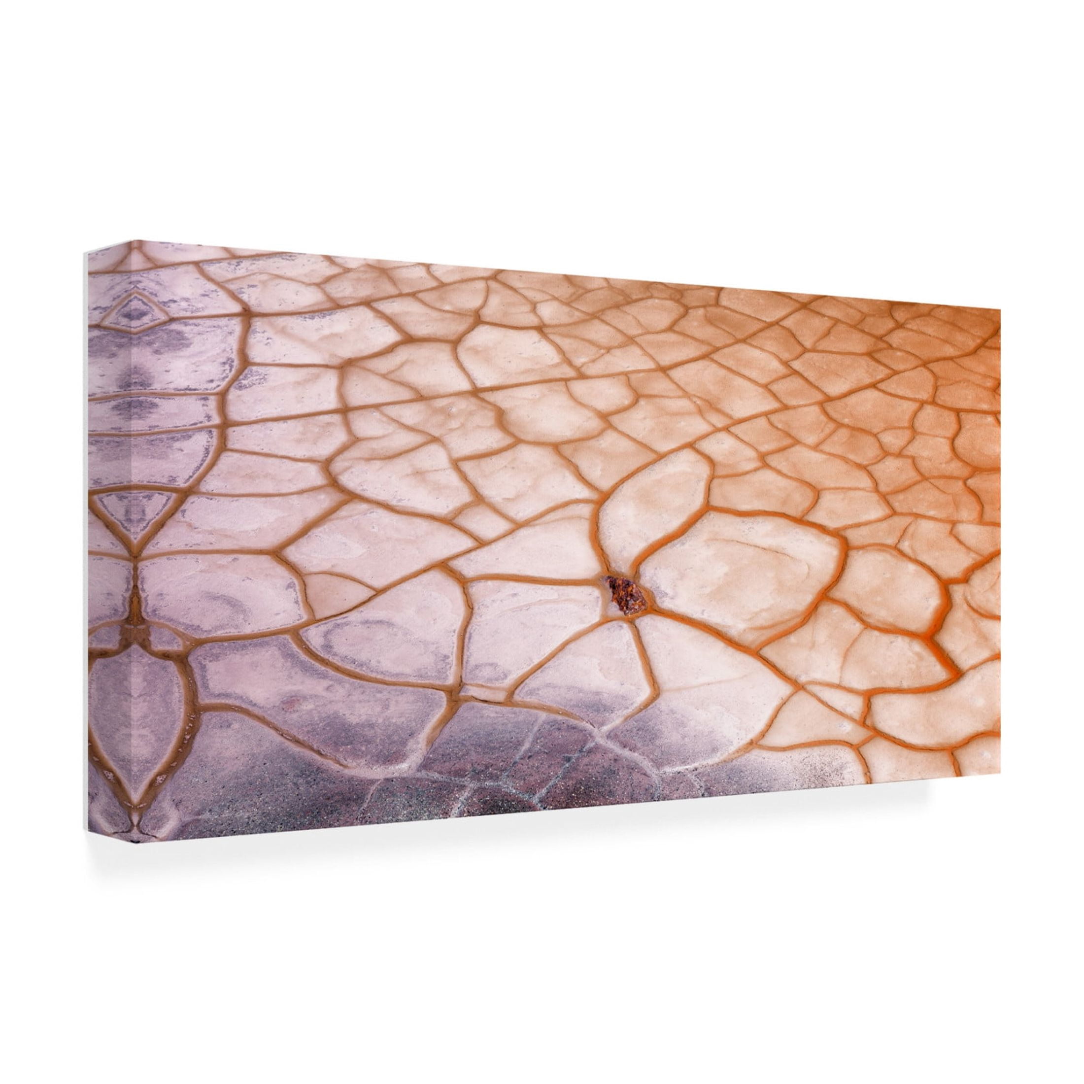 Canvas Wall Art - Emilio Pino 'Irregular' Wall Art for Living Room, Bedroom, or Office Décor by Trademark Fine Art - 32 x 16 Inches