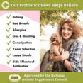 thumbnail image 6 of Wholistic Pet Organics Digest All Plus Digestion Support Dog Supplement, 60 Ct, 6 of 6