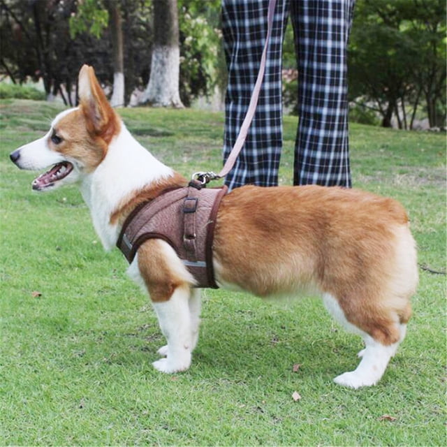Step In No Pull Dog Harness and Leash Set Adjustable Reflective Soft Mesh Corduroy Pet Vest for Small Dogs and Cats