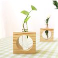 thumbnail image 4 of Coofit Plant Terrarium Creative Tabletop Glass Vase Glass Planter with Wood Stand, 4 of 10