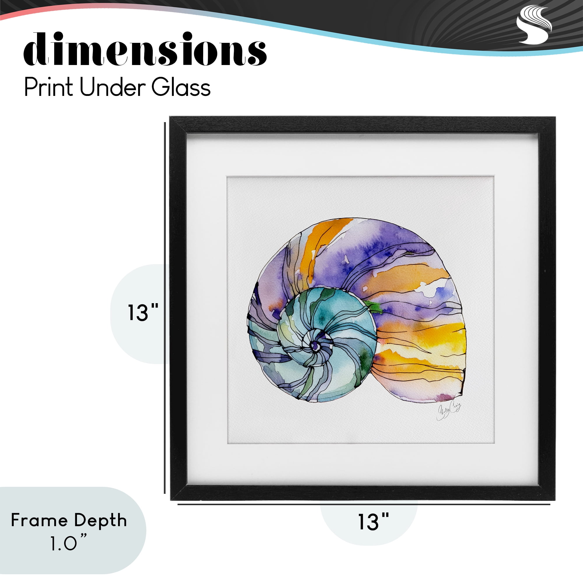 Stupell Industries Sunlit Striped Nautilus Black Framed Print Under Glass, design by Shelly Craig
