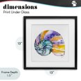 thumbnail image 4 of Stupell Industries Contemporary Sunlit Striped Nautilus Black Framed Print Under Glass, 13 x 13, by Shelly Craig, 4 of 8