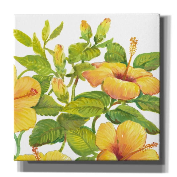 Epic Graffiti 'Watercolor Hibiscus II' by Tim O'Toole, Canvas Wall Art, 26"x26"