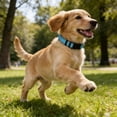 thumbnail image 2 of Minzimin Dog Collar, Reflective Dog Collar, Quick Release Soft Comfortable Dog Collars, Safety Buckle Adjustable Nylon Collars for Small Medium Large Dogs, 2 of 5