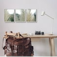 thumbnail image 2 of Stupell Industries Breezy Pampas Tall Grass Photograph White Framed Art Print Wall Art, Set of 3, Design by Jason Johnson, 2 of 7