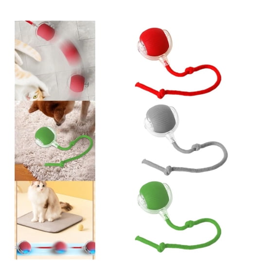 3Pack Cat Ball Kitten Toys for Indoor Interactive Kitty Ball Toy Speedy Tail 360° Automatic Rolling(Red Grey Green)