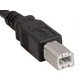 thumbnail image 3 of Omni Gear USB A to B Printer Cable Black 6'' 10'' 15'', 3 of 3