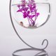 thumbnail image 3 of Botella de Planta Del Florero Del Acuario de Cristal de Del 10cm Mini Soporte Negro BLESIY Florero colgante, 3 of 8