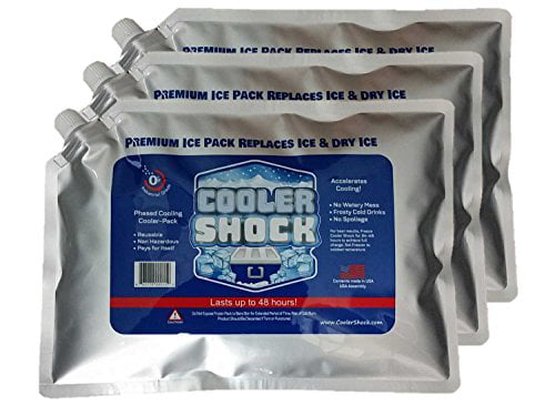 3 Cooler Shock Lg Reusable Cooler Ice Packs Replace Ice Screw Cap 10" x 14" 