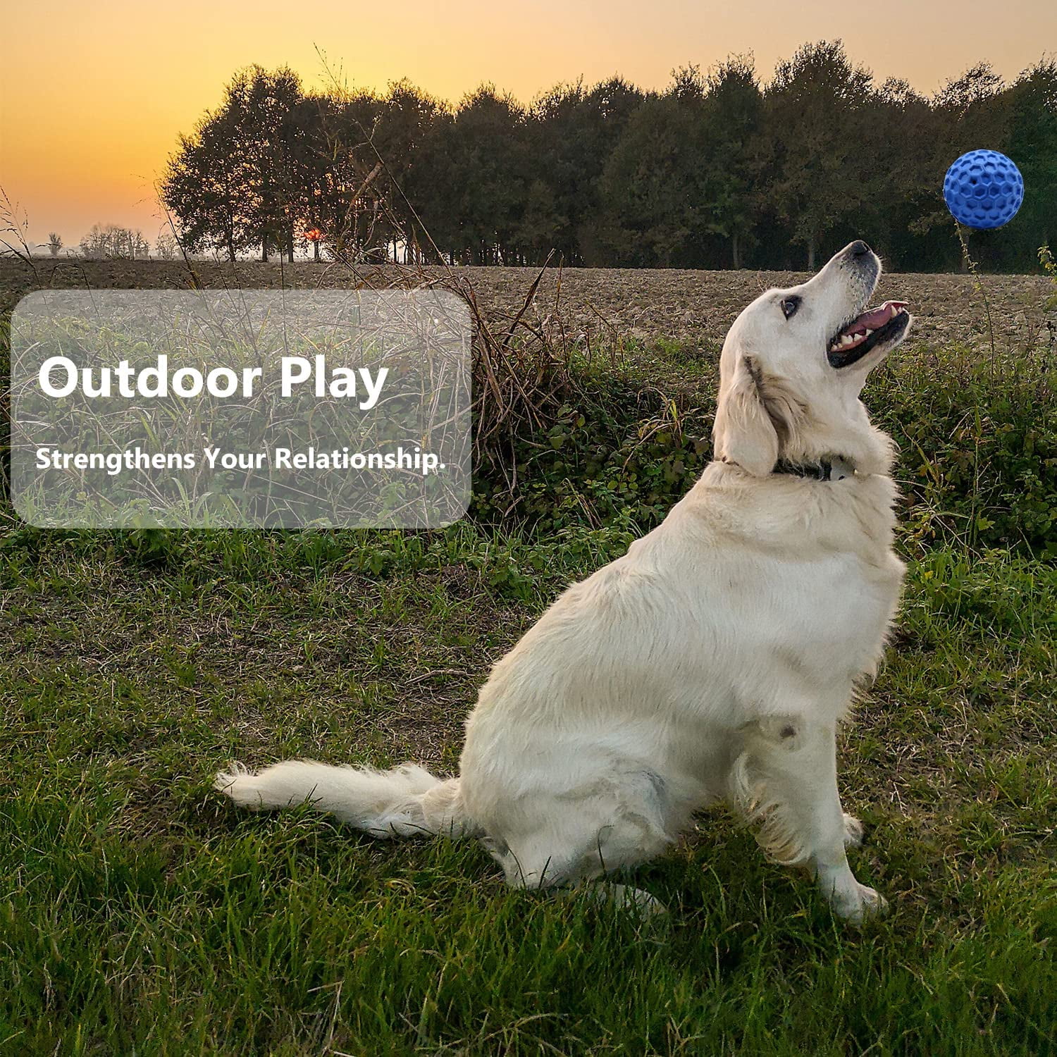 Dog Squeaky Ball Toys for Aggressive chewers 2 PCS Large Breed Balls Interactive Dog Ball Toy Tough Durable Stick Non-Toxic Natural Rubber (Dark Blue)