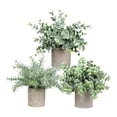 thumbnail image 4 of Plantas Artificiales en Maceta Strade Fareast Limited 3 Piezas Decorativas Estilo A, 4 of 8