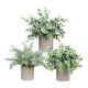 thumbnail image 4 of Plantas Artificiales en Maceta Strade Fareast Limited 3 Piezas Decorativas Estilo A, 4 of 8