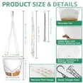 thumbnail image 2 of FIASON 2 Pack 8 Inch White Self-Watering Hanging Planters, Indoor Outdoor Flower Pots with Visual Water Reservoir, Drainage Holes & 2 Types of Plant Hangers for Garden Home Decor, 2 of 10
