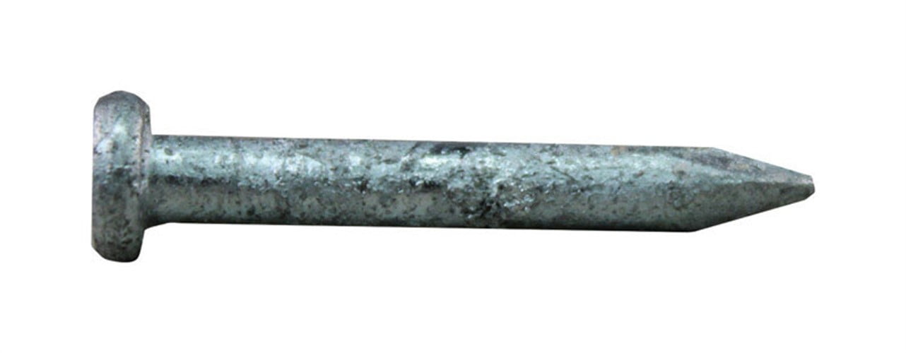 ProFit 11/4 in. Joist Hanger HotDipped Galvanized Nail 1 lb