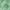 Mint green, variant on ZENELESS Large Fluffy Area Rugs for Living Room,8x10 Shag Rectangular Carpets for Bedroom, Light Brown