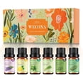 thumbnail image 1 of Essential Oils Set \u2013 6x10ml Aromatherapy Oil Collection for Diffusers, Peppermint, Lavender, Eucalyptus, Lemon, Rosemary, Lemongrass \u2013 Diffuser Oil & Huile Essentielle Pour Diffuseur, 1 of 7