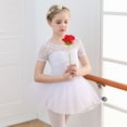 thumbnail image 3 of Hienoo Little Girl's Ballet Dance Dress Lace Short Sleeve Leotards with Removable Tutu Skirt, 3 of 3