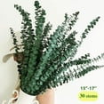 thumbnail image 3 of HTSQYL 30PCS Dried Eucalyptus Bundle ,17'' Real Eucalyptus Stems - 100 % Natural Fresh Eucalyptus Leaves Greenery Stems for Shower Home Decor Flower Arrangement Wedding, 3 of 8