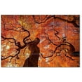 thumbnail image 1 of Trees Forest Ceramic Tile Mural Kitchen Backsplash Bathroom Shower, 401669-L64, 1 of 3