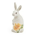 thumbnail image 2 of Fitz and Floyd Meadow Rabbit Earthenware Decorative Figurine, 2 of 5