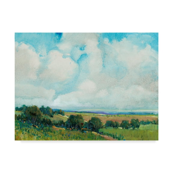 Trademark Fine Art 'Looming Clouds I' Canvas Art by Tim OToole