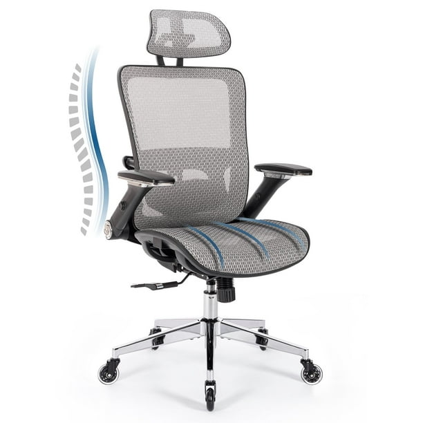 Colamy Ergonomic Mesh Office Chair High Back 4D Flipup Armrests