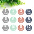 thumbnail image 4 of 24pcs Baby Month Stickers Milestone Self-Adhesive Stickers Anti-Dirty Sticker for Newborn, 4 of 6