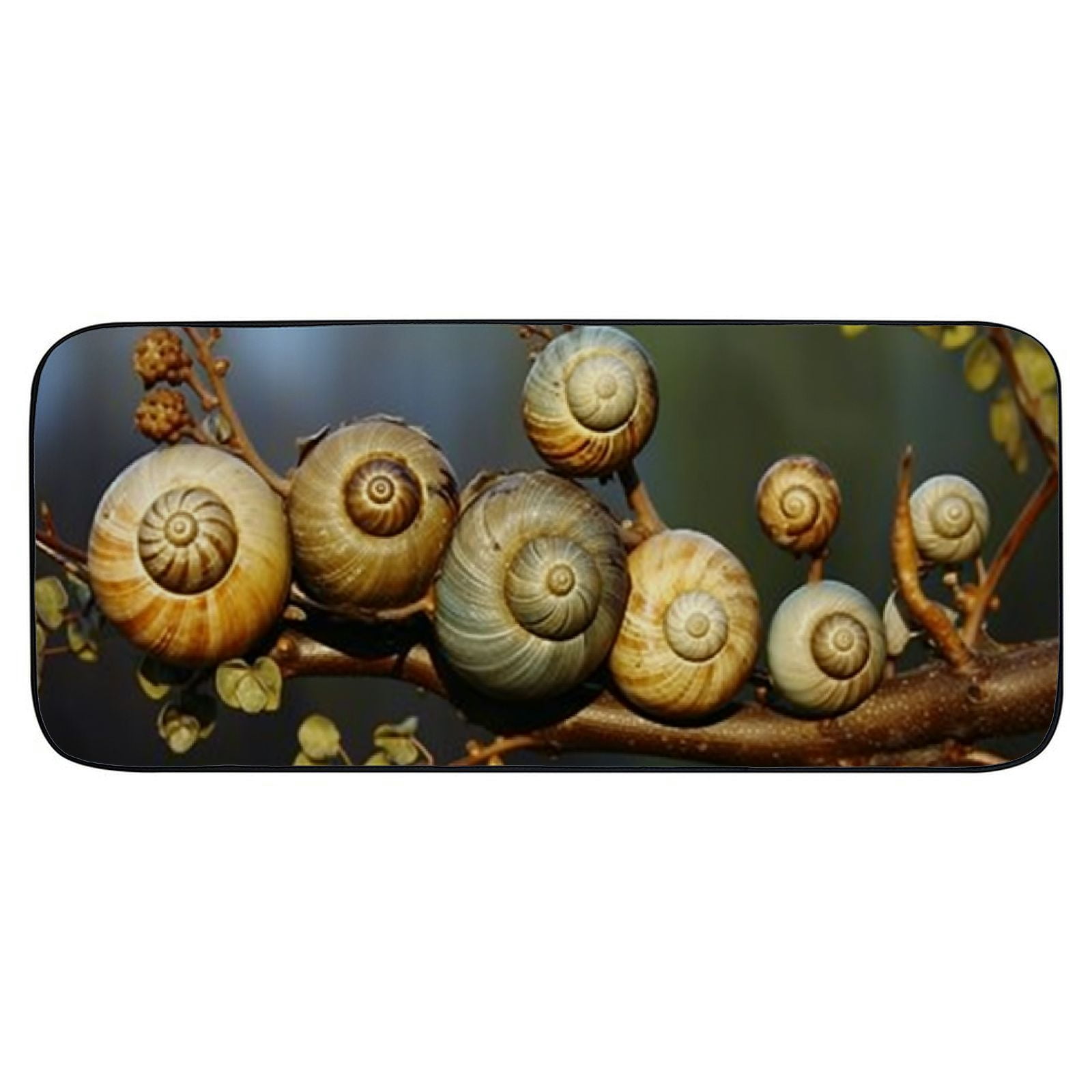 PHYHOO Doormat Floor /Mat - Snails Shell Snail Close Snail Shell Mollusk Decorative Door Mat, Door Mat with Non-Slip Rubber Backing, Easy Cleaning, Traps Dirt, for Entry, Patio, Garage 19.68*47.24 in
