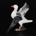 thumbnail image 5 of Realistic Albatross Lifelike Ornament Model, 5 of 5