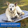thumbnail image 4 of The Original Elevated Pet Bed by Coolaroo, Small, Terracotta, 4 of 6
