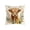 01_Highland Cow -16 A, variant on Throw Pillow Cover 18x18 Inch Cute Patterns Print Soft Breathable Hidden Zipper Decorative for Sofa Living Room by MPOISVA