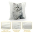 thumbnail image 4 of COMIO  Little Mountain Lion Throw Pillow Covers for Couch Bed Sofa Farmhouse Decoration, 4 of 5
