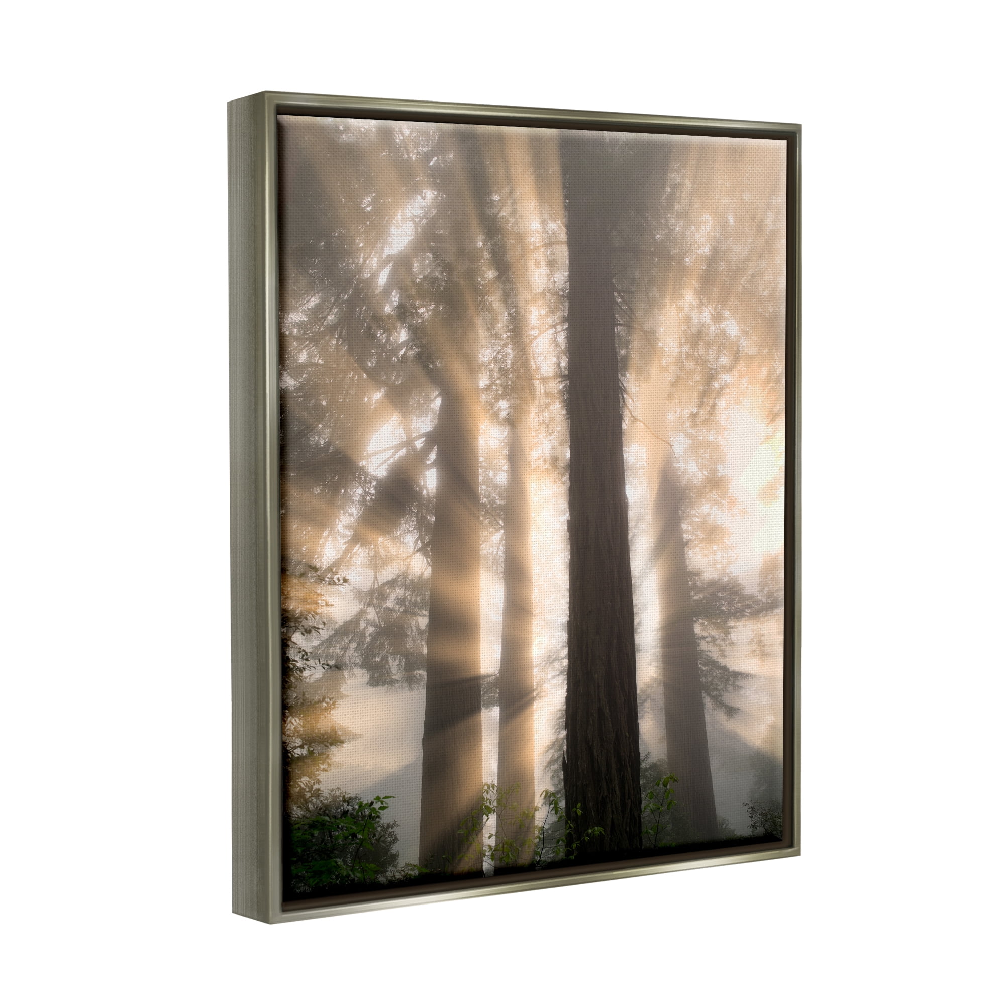 Stupell Industries Sun Rays Woodland Trees View Landscape Photography Gray Floater Framed Art Print Wall Art