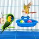 thumbnail image 4 of Baño para pájaros mejorado CHAO lavabo colgante 10 x 18,5 x 4 cm, 4 of 5